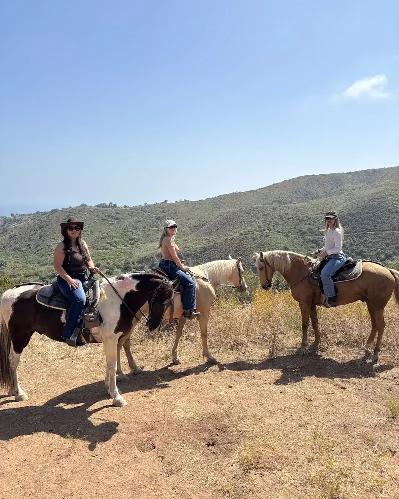 Three riders on horseback