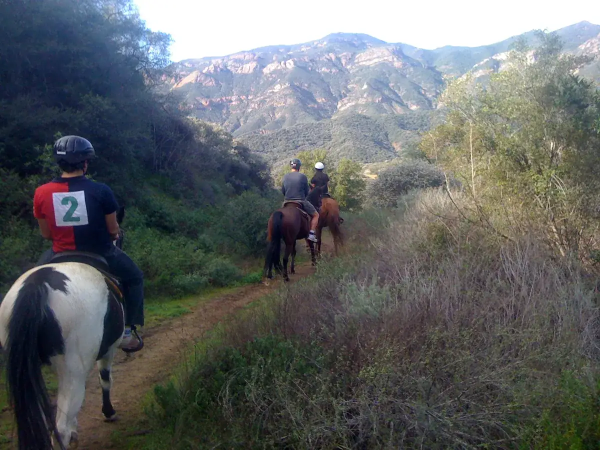 A rider in a red shirt in the canyon