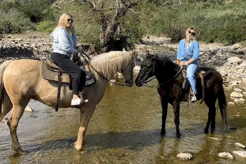 Two riders with their horses in the creek