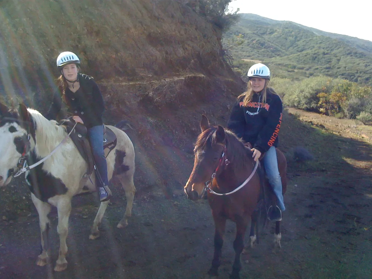 Two friends on horseback in the sun