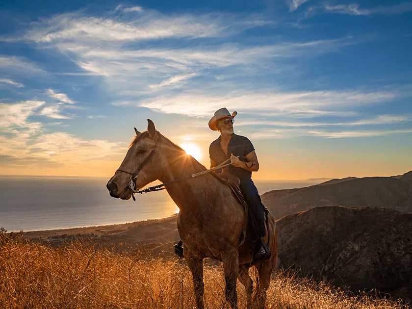 A rider on a bay horse at golden hour above the ocean