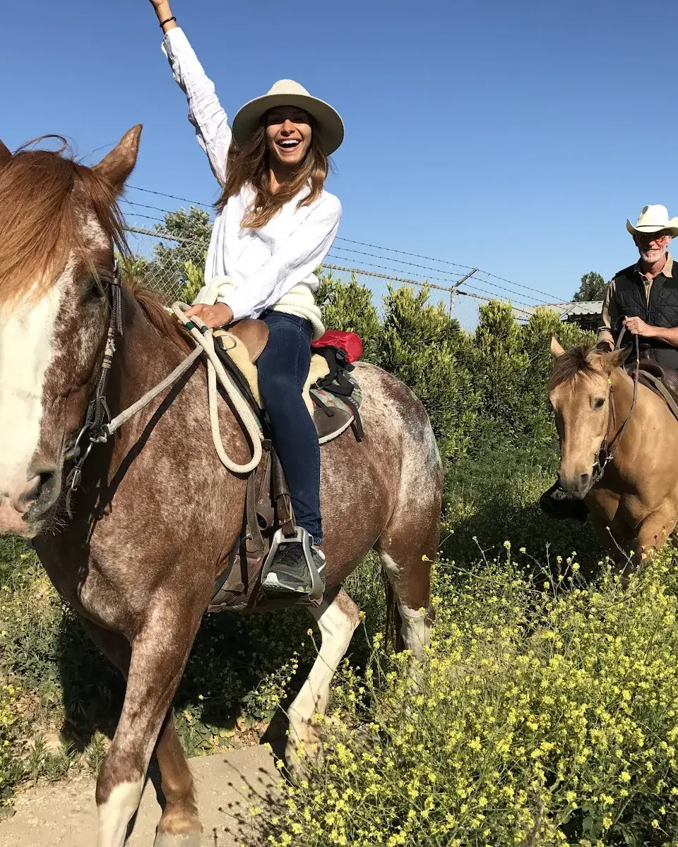 A rider with her arms up on a roan horse in the wildflowers