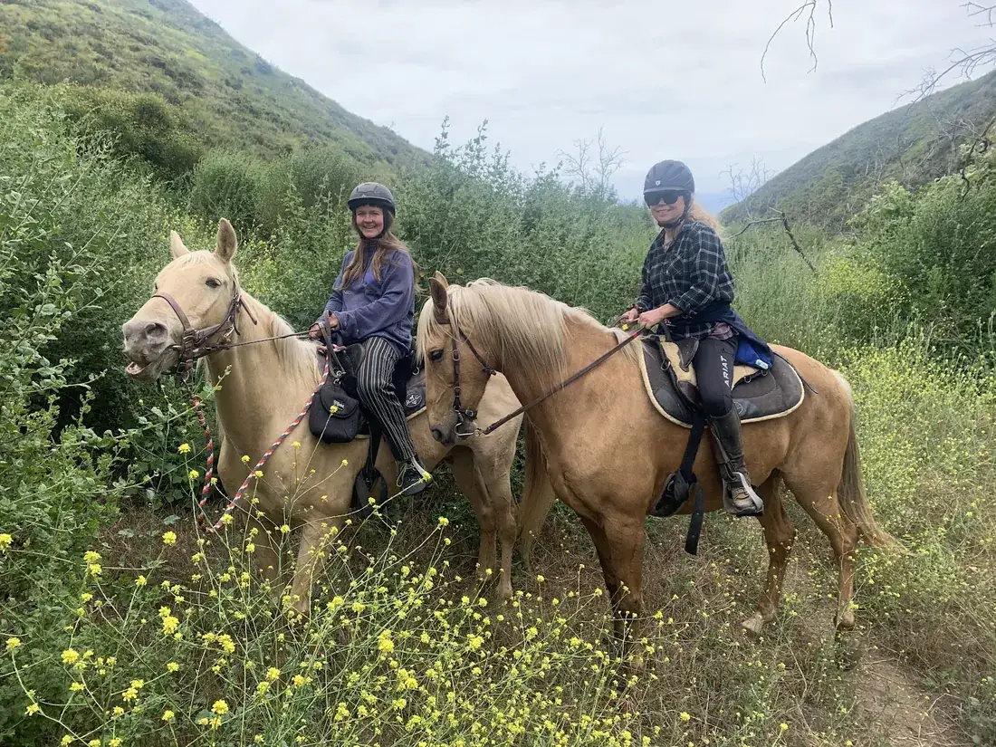 Two riders in yellow wildflowers