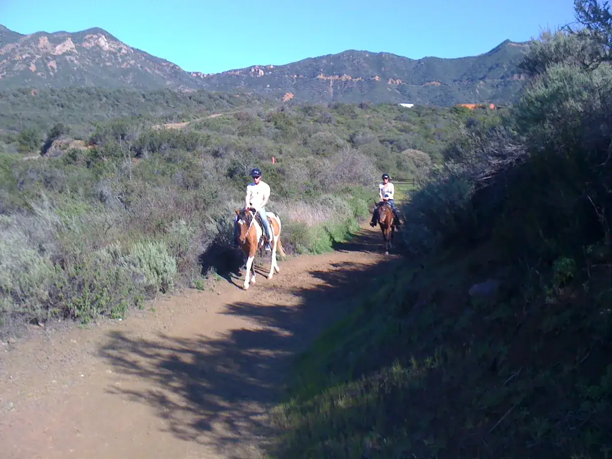Riders on the canyon trail