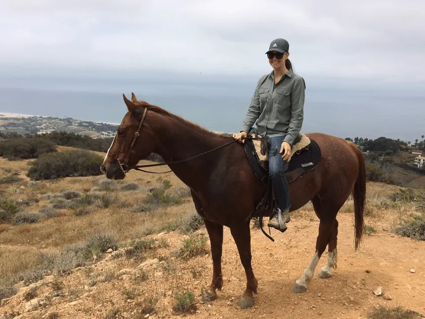 A rider on a bay horse above the ocean haze