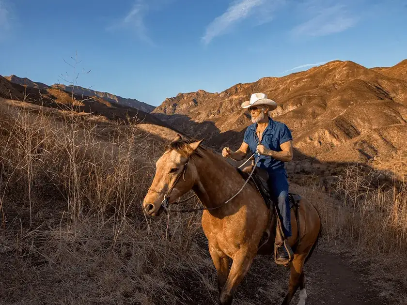 A rider on a palomino in the rocky canyon