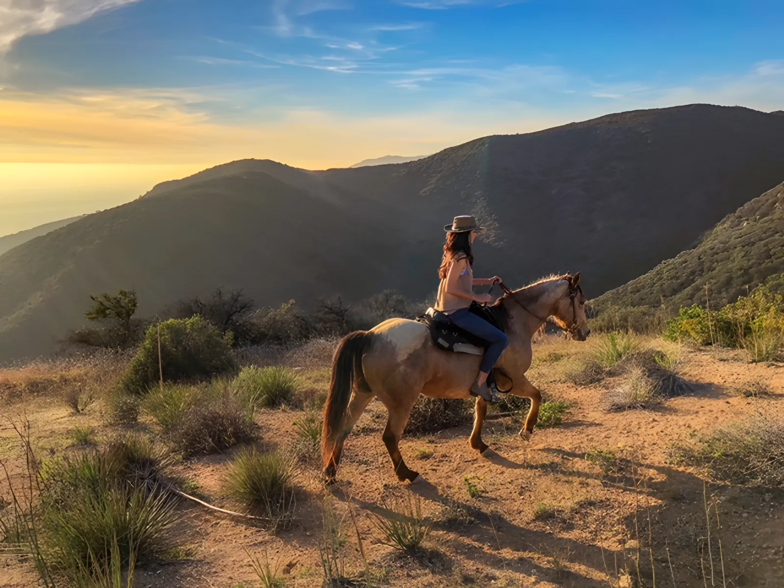 A rider on the ridge at golden hour