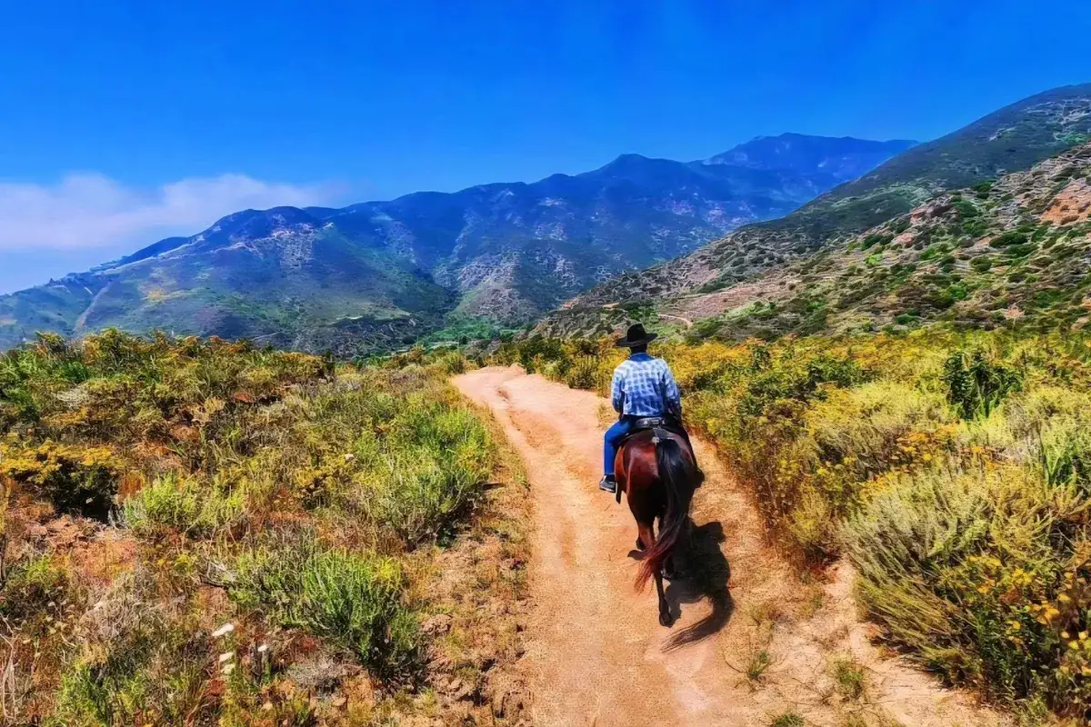 Riders on the trail above the ocean
